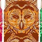 Owl skate deck